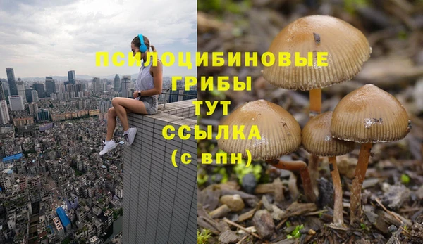 таблы Новодвинск