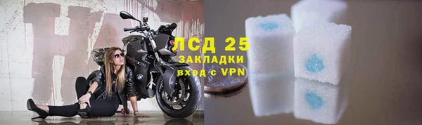 таблы Новодвинск