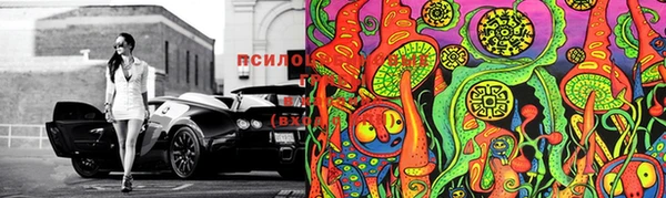 спайс Новозыбков